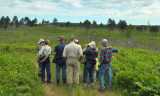 Moquah Barrens 0119