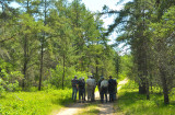 Moquah Barrens 0279