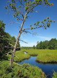 Stockton Island_1406
