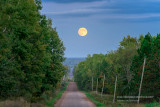 Full moon rising