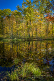 Fall colors and reflections