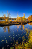 Audie Lake 1 in the Blue Hills