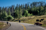 The Road to I-70, Colorado