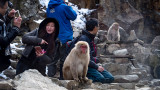 Snow Monkeys, Day 2