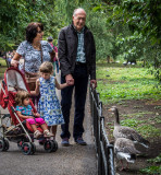 Walking Through the Park