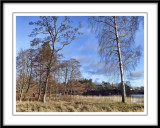 A sunny winter day...