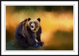 Skansen bear....