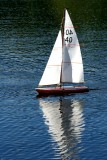  Remote control sail boat races in Back Bay Wolfeboro
