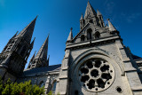 Saint Fin Barres Cathedral, Cork