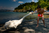 2015 At The Lake Ohrid (Macedonia)
