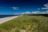 On The Dunes, Curonian Spit