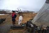 Visiting a Sami reindeer herder near Nordkapp 