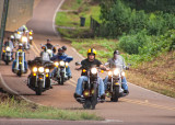 2014 Krewe of Fat Mama's Tamales and Adams County Search and Rescue Poker Run