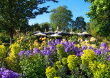 Garden Cafe at Queen Marys Gardens