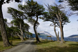 Lago Blanco, Tierra del Fuego, Patagonia, Chile