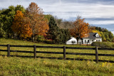 ny foliage_029.jpg