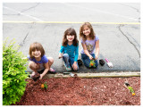 Planting with her Daisy troop