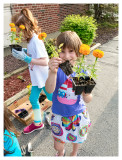 Planting with her Daisy troop