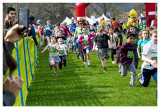 The kids fun run - and they are off!