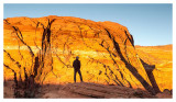 Sunrise on the Hidden Pinyon Trail