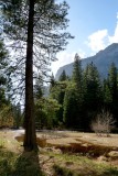 706 1 Yosemite Cooks Meadow.jpg