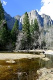 706 5 Yosemite Cooks Meadow Yosemite Falls 2.jpg