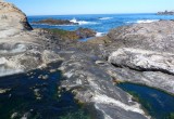 254 Pt Lobos.jpg