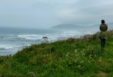 834 Mendocino coast 2014.jpg