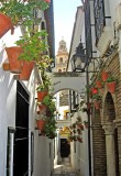 472 Cordoba Calleja de las Flores.jpg