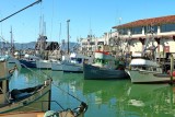 439 Fishermans Wharf SF 2014 7.jpg