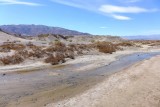 254 Death Valley Salt Creek 3.jpg