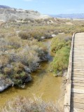 254 Death Valley Salt Creek 6.jpg