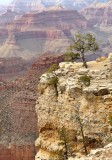 134 Grand Canyon South Rim 3.jpg