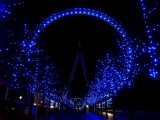 184 London Eye.jpg