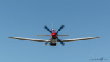 P51 Mustang