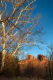 Cathedral Rock