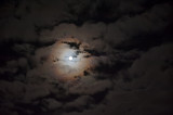 Harvest Moon With Clouds And Halo