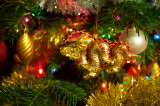 Christmas Tree Dragon