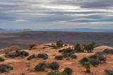 Muley Point Overlook