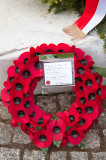 Polish Flag With Red Poppies