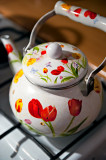 Flowers On The Teapot