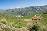 Mountains And Poppies