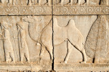 The Apadana Stone Relief - Arachosian Delegation