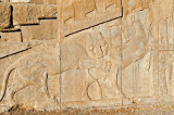 Tachara Palace - Lion Vs Bull