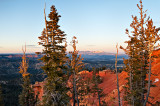 Bryce Canyon - Ponderosa Canyon Overlook