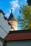 Radziejowice Castle Tower