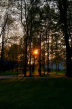 Sunset In The Park