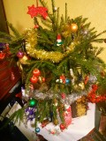 My Small Christmas Tree