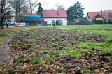 Burrowed Ground