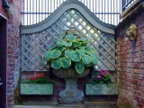 Old Brick in New Courtyard 